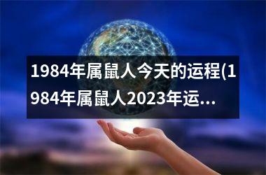 1984年属鼠人今天的运程(1984年属鼠人2025年运势及运程每月运程)