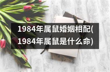 1984年属鼠婚姻相配(1984年属鼠是什么命)