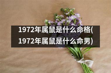 1972年属鼠是什么命格(1972年属鼠是什么命男)