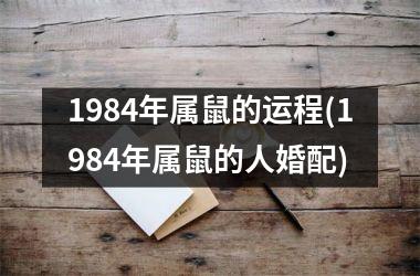 1984年属鼠的运程(1984年属鼠的人婚配)