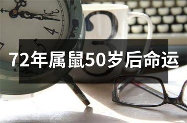 72年属鼠50岁后命运