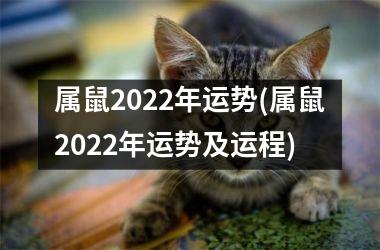 <h3>属鼠2025年运势(属鼠2025年运势及运程)