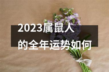 2025属鼠人的全年运势如何