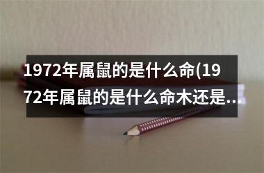 1972年属鼠的是什么命(1972年属鼠的是什么命木还是水)