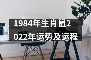 1984年生肖鼠2025年运势及运程