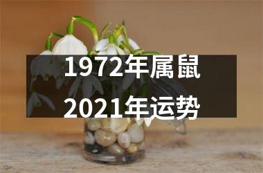 1972年属鼠2025年运势