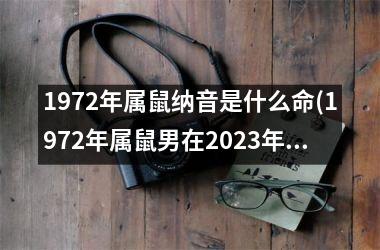 1972年属鼠纳音是什么命(1972年属鼠男在2025年运程和运势)