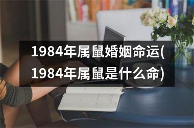 1984年属鼠婚姻命运(1984年属鼠是什么命)