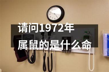 <h3>请问1972年属鼠的是什么命