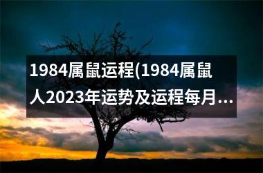 1984属鼠运程(1984属鼠人2025年运势及运程每月运程)