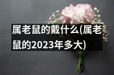 属老鼠的戴什么(属老鼠的2025年多大)