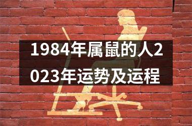 1984年属鼠的人2025年运势及运程