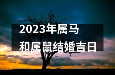 2025年属马和属鼠结婚吉日