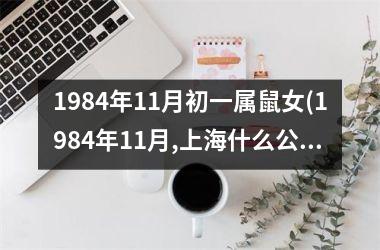 1984年11月初一属鼠女(1984年11月,上海什么公司公开发行股票)