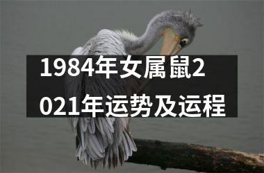 1984年女属鼠2025年运势及运程