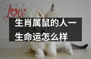 <h3>生肖属鼠的人一生命运怎么样