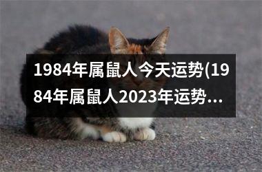 <h3>1984年属鼠人今天运势(1984年属鼠人2025年运势及运程每月运程)