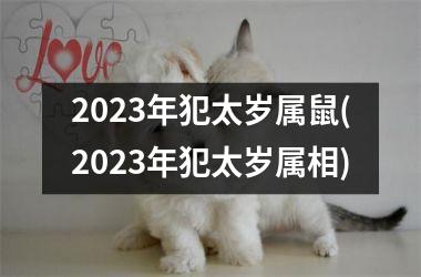 2025年犯太岁属鼠(2025年犯太岁属相)