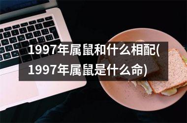 1997年属鼠和什么相配(1997年属鼠是什么命)