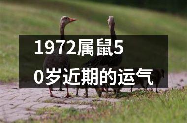 1972属鼠50岁近期的运气