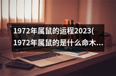 1972年属鼠的运程2025(1972年属鼠的是什么命木还是水)