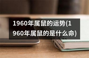 1960年属鼠的运势(1960年属鼠的是什么命)