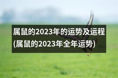 属鼠的2023年的运势及运程(属鼠的2023年全年运势)