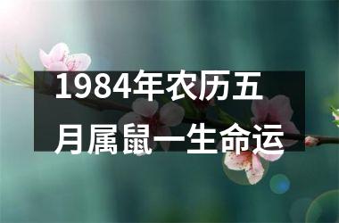 1984年农历五月属鼠一生命运