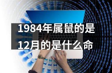 1984年属鼠的是12月的是什么命