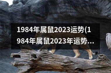 1984年属鼠2025运势(1984年属鼠2025年运势)