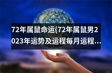 72年属鼠命运(72年属鼠男2025年运势及运程每月运程)