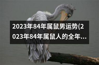 <h3>2025年84年属鼠男运势(2025年84年属鼠人的全年运势女性)