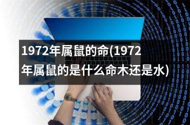 1972年属鼠的命(1972年属鼠的是什么命木还是水)