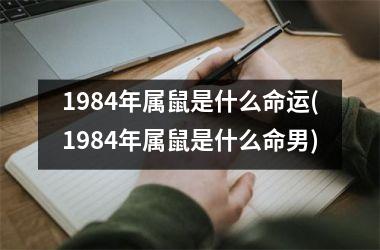 1984年属鼠是什么命运(1984年属鼠是什么命男)