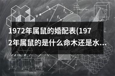 1972年属鼠的婚配表(1972年属鼠的是什么命木还是水)