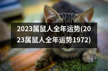 2025属鼠人全年运势(2025属鼠人全年运势1972)