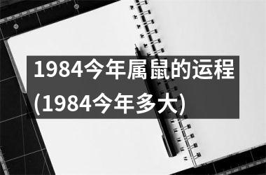 1984今年属鼠的运程(1984今年多大)