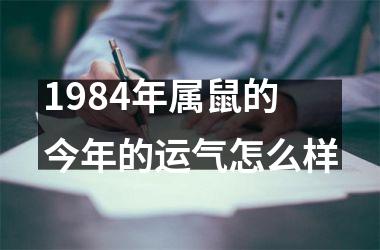 1984年属鼠的今年的运气怎么样