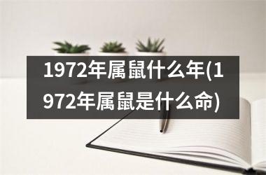 1972年属鼠什么年(1972年属鼠是什么命)