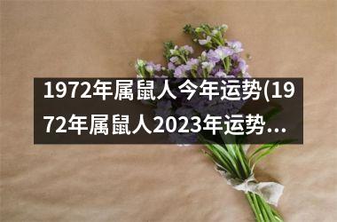 1972年属鼠人今年运势(1972年属鼠人2025年运势运程每月运程)