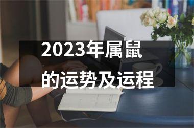 2025年属鼠的运势及运程