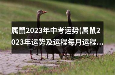 属鼠2025年中考运势(属鼠2025年运势及运程每月运程)