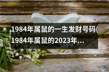 1984年属鼠的一生发财号码(1984年属鼠的2025年全年运势)