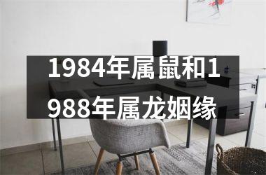 1984年属鼠和1988年属龙姻缘