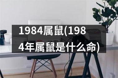 1984属鼠(1984年属鼠是什么命)