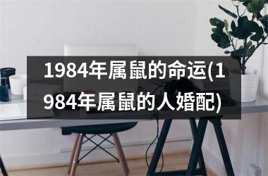 1984年属鼠的命运(1984年属鼠的人婚配)