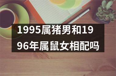 1995属猪男和1996年属鼠女相配吗