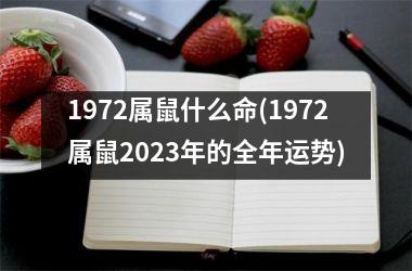 1972属鼠什么命(1972属鼠2025年的全年运势)