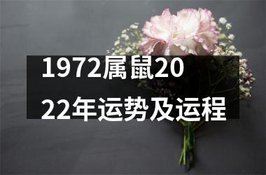 1972属鼠2025年运势及运程