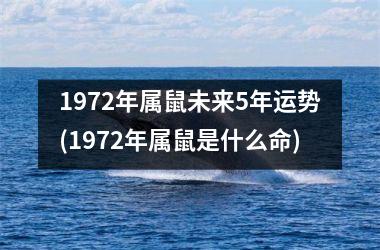 <h3>1972年属鼠未来5年运势(1972年属鼠是什么命)